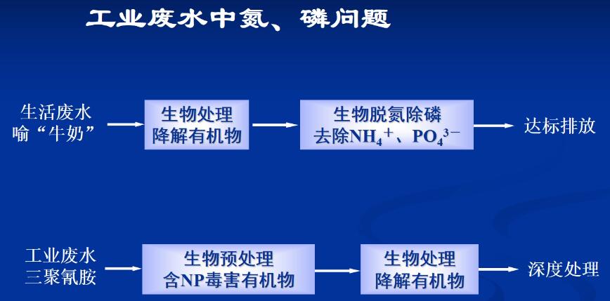 工業園區有機物的生物降解性和毒性(3)