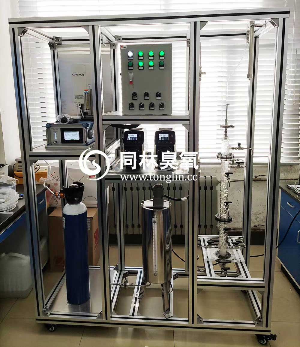 實驗室臭氧催化氧化一體化實驗裝置(1)