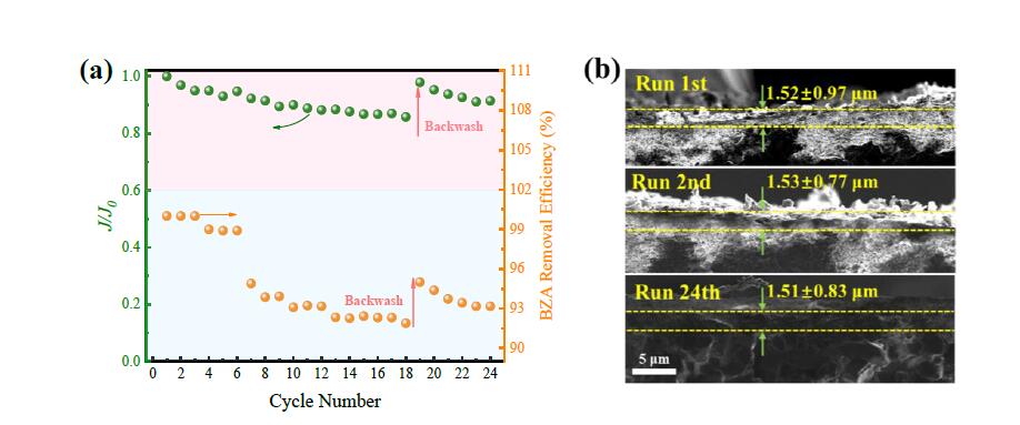 高效穩(wěn)定的協(xié)同除污染，自清潔N-rGO催化臭氧膜(6)