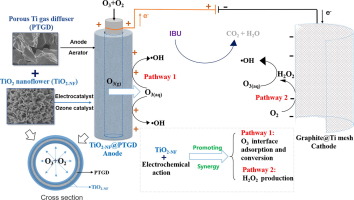 TiO2催化劑的作用和電化學作用在活性氧形成中的作用(1)