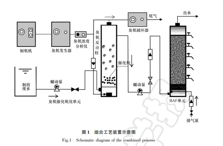 臭氧催化氧化?BAF組合工藝對抗生素廢水去除效果研究(1)