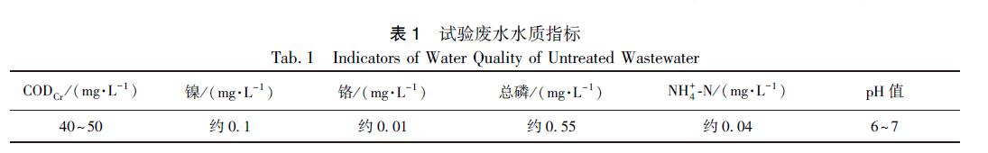 微納米氣泡臭氧高級氧化工藝處理電鍍廢水的中試(1)