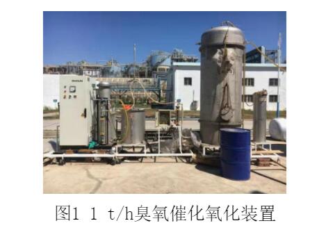 臭氧催化氧化對固定床蒸氨脫酚廢水COD去除效果研究(1)