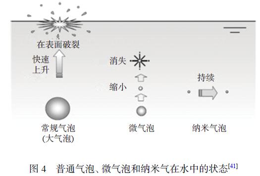 影響臭氧水浸泡法去除農殘效果的因素(1)