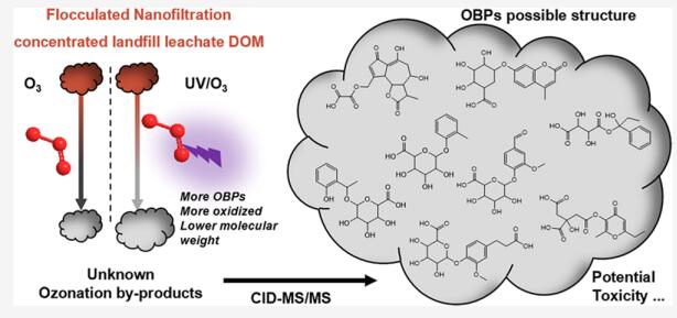 臭氧處理絮凝膜濃縮物中OBPs的分子特征和形成研究(1)