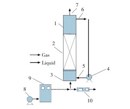 恭喜馬老師論文發(fā)表：臭氧催化氧化處理焦化廢水尾水的催化劑適配研究(2)